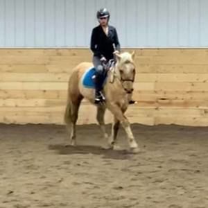 Meet your Posher, Nikki